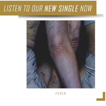 Single Feature Links _ Fever_2